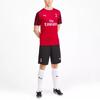 Puma Футболка Milan Acm Training с коротким рукавом и цветным принтом, мужские топы, красная 756141-01