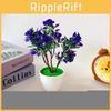 Plastic Multicolor Simulation Rosa Chinensis  Artificial Flower Potted Plants