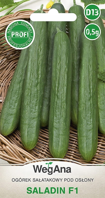 Saladin F1 Salad Cucumber 0.5g Vegetable Seeds - WegAna