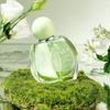 TVLV Women Perfume Spray Fresh Long Lasting Summer Scent Light Fragrance Natural Body Mist 1.7 Fl Oz