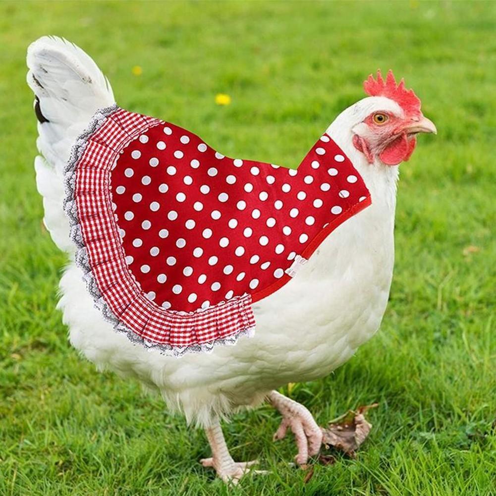 3 предмета куриное седло, куртка для курицы, фартук для курицы, фиксатор перьев для птицы WiW YV7