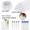 10pcs Borosilicate Glass Round Bottom Test Tubes, Clear Glass Test Tubes for Scientific Experiments, Decorations, Plant Propagation and Holiday Gifts