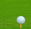 Adhere 60 Golf Tees Short Tees White Birch Wood Tees