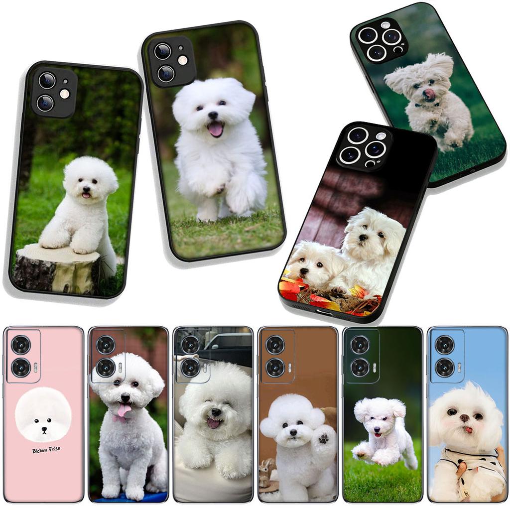 Phone Cover Bichon Frise Dog Cute Pet Casing for OPPO A54 A40 A60 A80 A18 A16 A17 A38 A78 A79 A57 A55 A96 A15 A12 Case