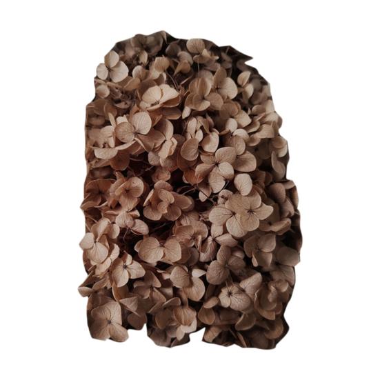 Модные сухие цветы гортензии без полива, легкие, добавляют атмосферы