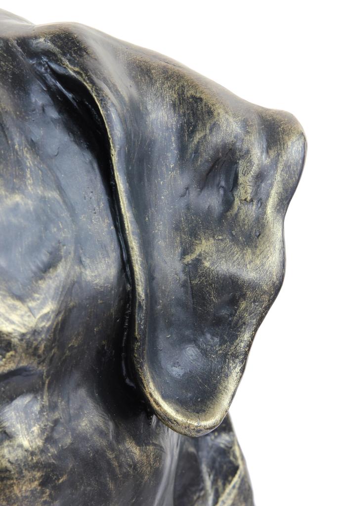 Rottweiler, Rott, Rottie - Dog Bust, Large Dog Head for the Garden, Unique Living Room Decoration by Art-Dog Brand