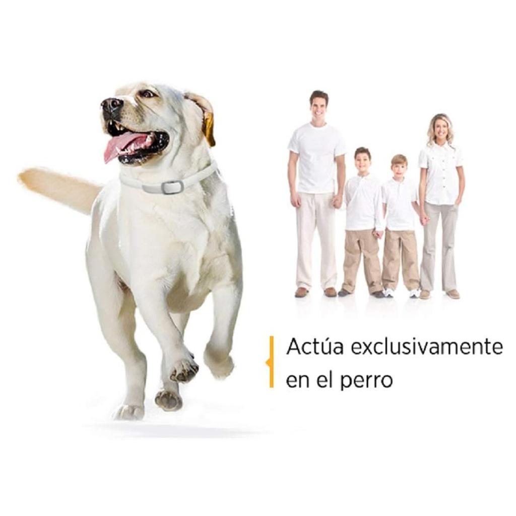 12 Months, White, Anti-parasite Collar, Anti-flea, Anti-tick, Leishmaniosis,For Small And Medium Dogs