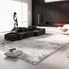 Minimalist Carpets for Living Room Light Luxury Bedroom Decor Carpet Gray Art Large Area Rug Fluffy Soft Home Plush Floor Mat