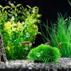 Plastic Artificial Aquarium Grass Ball Simulated Artificial Underwater Grass Fish Tank Decor Plant Aquarium Ornaments Reptile