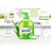 Blue Moon Aloe Vera Antibacterial Hand Wash