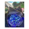Led Lighted Blue Black Butterfly Bouquet Gift For Lover Birthday Gift For Mother And Friend