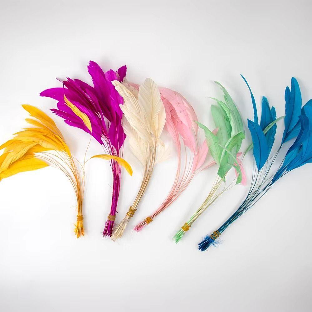 10Pcs Multicolor Rooster Feather Natural Feather Clothing Accessories Feathers Headwear Accessories
