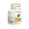 Naturactive Guarana 60 Gélules