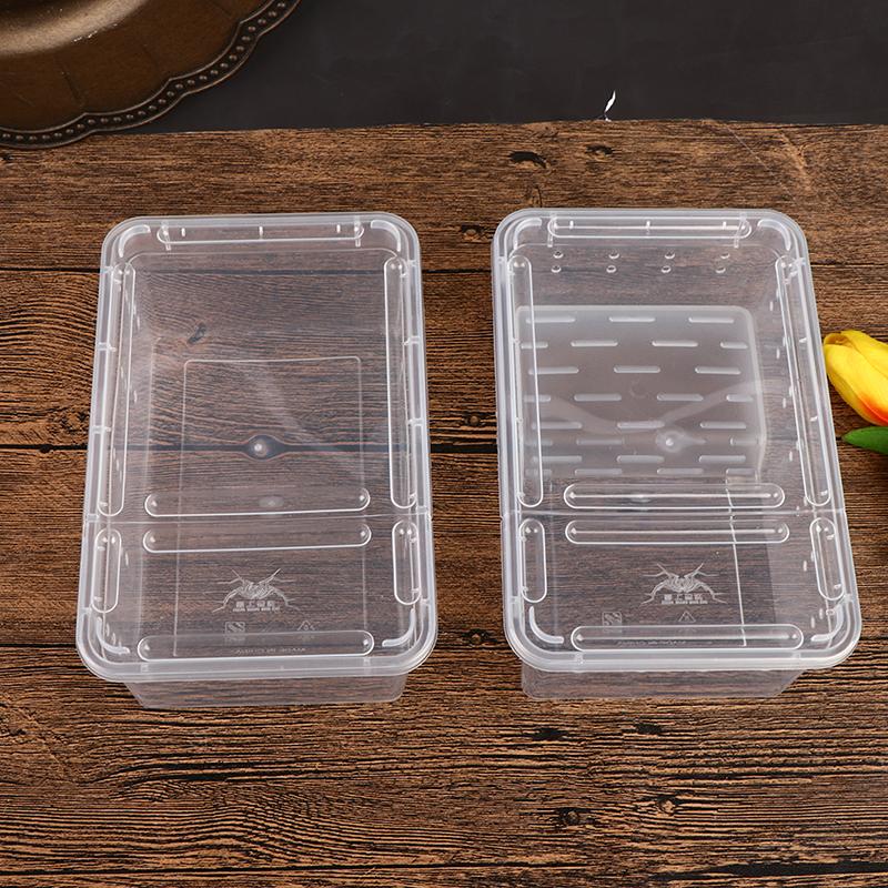 Reptile Box Mantis Jumping Spider Silkworm Rearing Box Reptile Rearing Box