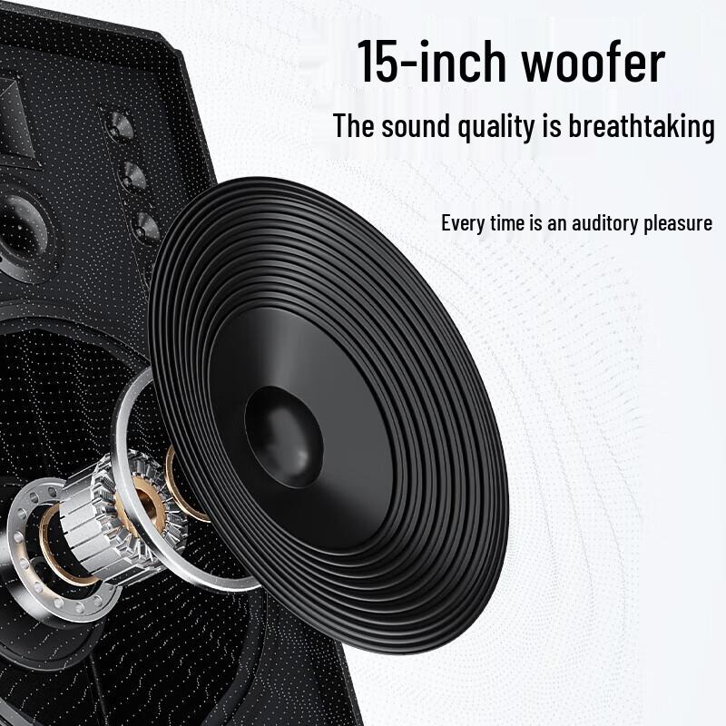 Портативная караоке-колонка Bluetooth Newmine N527/N528 15 дюймов