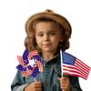 Patriotic Pinwheels Flags Set 250 Anniversary Fourth of July Decor Accessories Outdoor for Independence Day Party Supplies