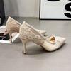 Sexy Fashion Temperament Versatile High Heels Women's New Summer Breathable Lace Mesh Women's Shoes Pointed Single Shoes
