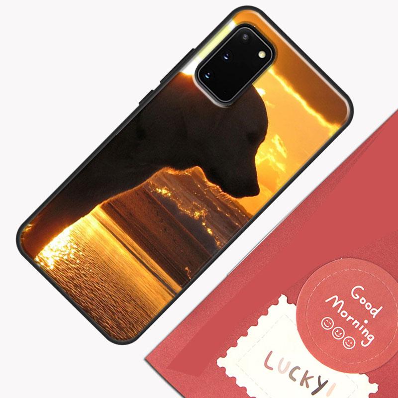 Black labrador retriever Animal Dog Phone Case For Samsung Galaxy S26 S25 S24 S20 S21 S22 S23 Ultra S10 Plus S25 FE Cover Shell