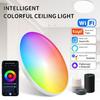 220V Voltage Smart LED Ceiling Light RGB Color Changing Round Ceiling Lamp  Indoor Ambient Lighting