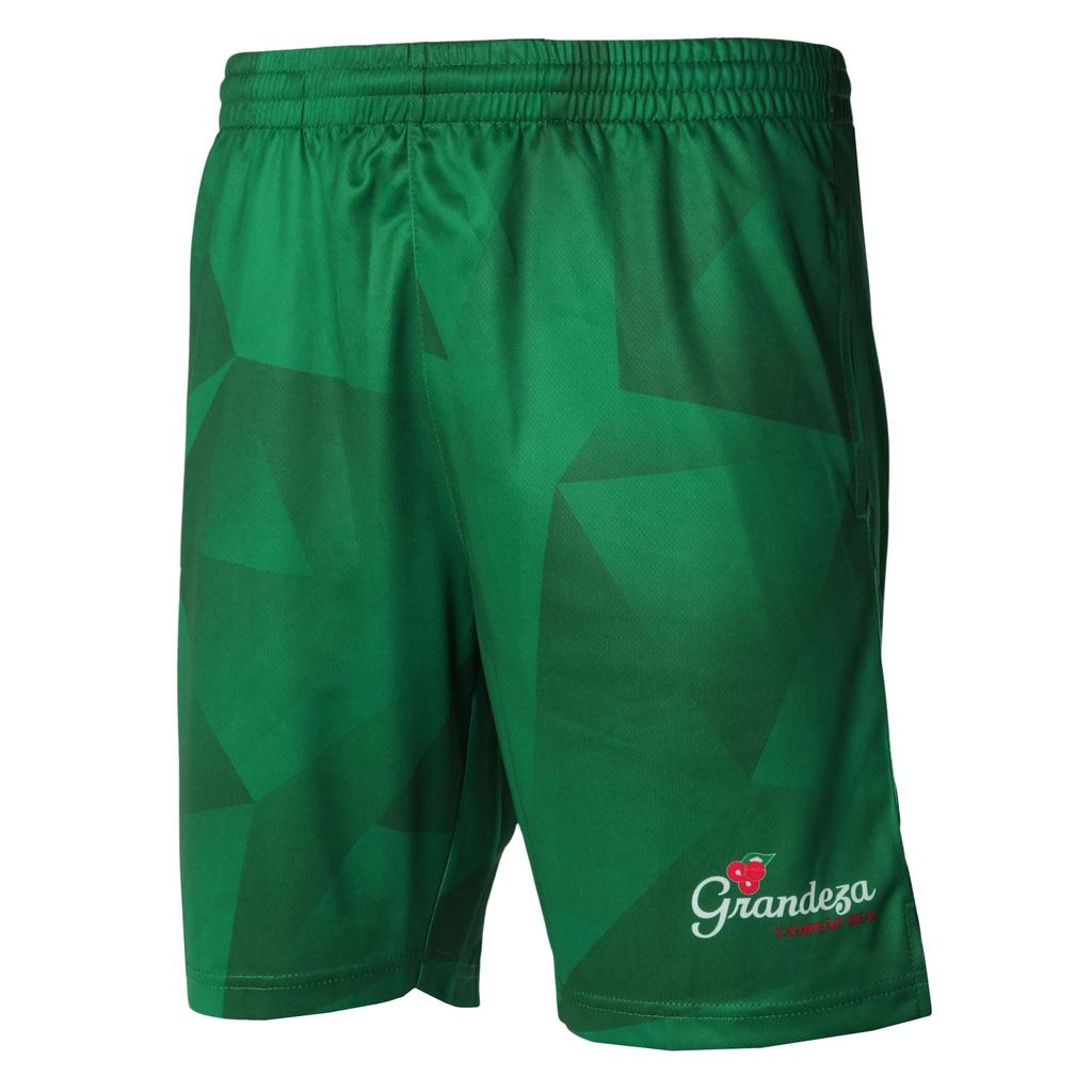 FINTA Футбольные графические тренировочные штаны FT4110 (3100) зеленый