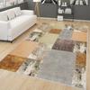 Washable Printed Carpet RVGHOME0164-SD1149