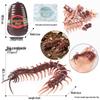 4D Stereo DIY Animal Model Kit: Eagle, Scorpion, Gecko, Rattlesnake, Spider, Lizard, Squirrel, Hedgehog