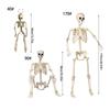 Realistic Full Body Human Bone Halloweens Props Flexible Joints Portable Plastic Indoor Outdoors Decoration