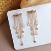 Fashion Women Clear Rhinestone Long Tassel Earrings 925 Silver Needle Temperament Earring Luxury Lady Party Drop Earrings