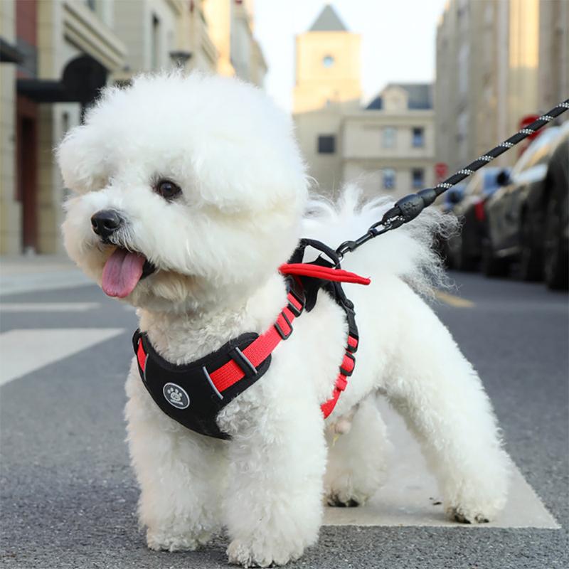 Dog Harness Fashion Angel Wings , Breathable Adjustable Pet Vest with Soft Padded Back, Cute Puppy Chest Strap for Small Dogs
