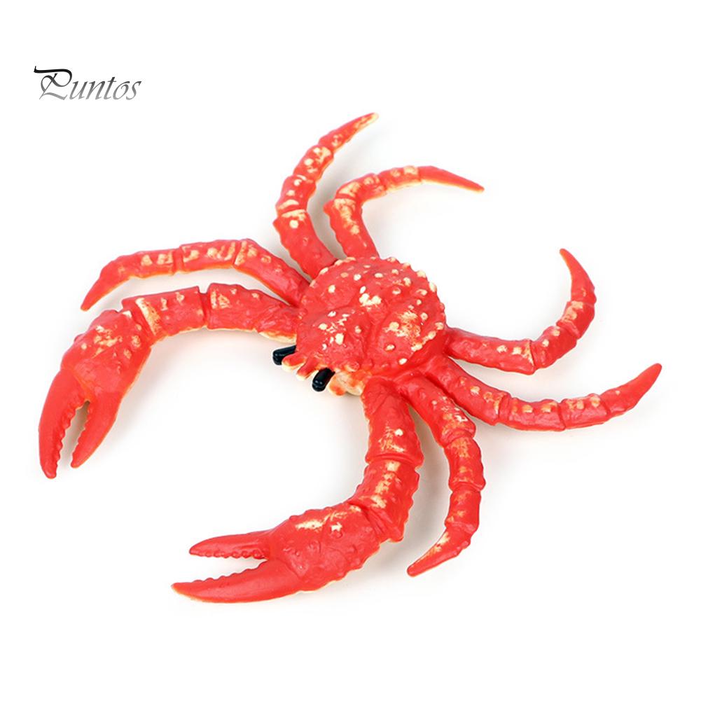 Puntos Kids Toy Simulation Hermit Crab Морское животное ПВХ Модель Настольный Декор Образование