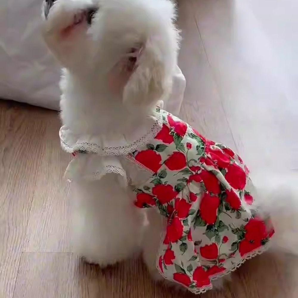 Cute Pet Summer Clothes Soft Cat Princess Skirt Comfortable Dog Vest  Autumn
