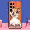 Cartoon Chihuahua Dog Cover For Samsung Galaxy S24 S23 S22 S21 S20 FE Ultra Plus S8 S9 S10 Note 10 20 Ultra Case