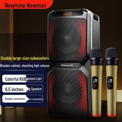 Мощная уличная Bluetooth-колонка для караоке Newmine A2 с двумя микрофонами, штекер CN (адаптер в комплекте)