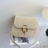 Сумка кроссбоди на плечо из соломы с замком, женская, 2025, весна, новая, универсальная, ins, зарубежная, для отдыха, маленькая квадратная сумка