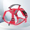 Medium to Large Dog Anti-Pull Harness & Leash Set - Corgi Style