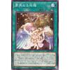 Yu-Gi-Oh Card Silent Blessing (Normal) Legacy of Destruction (LEDE) | Continuous Magic Normal
