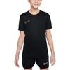 Nike Академическая футболка Dri Fit Черный/Черный/Белый/Белый Унисекс HJ3716-010