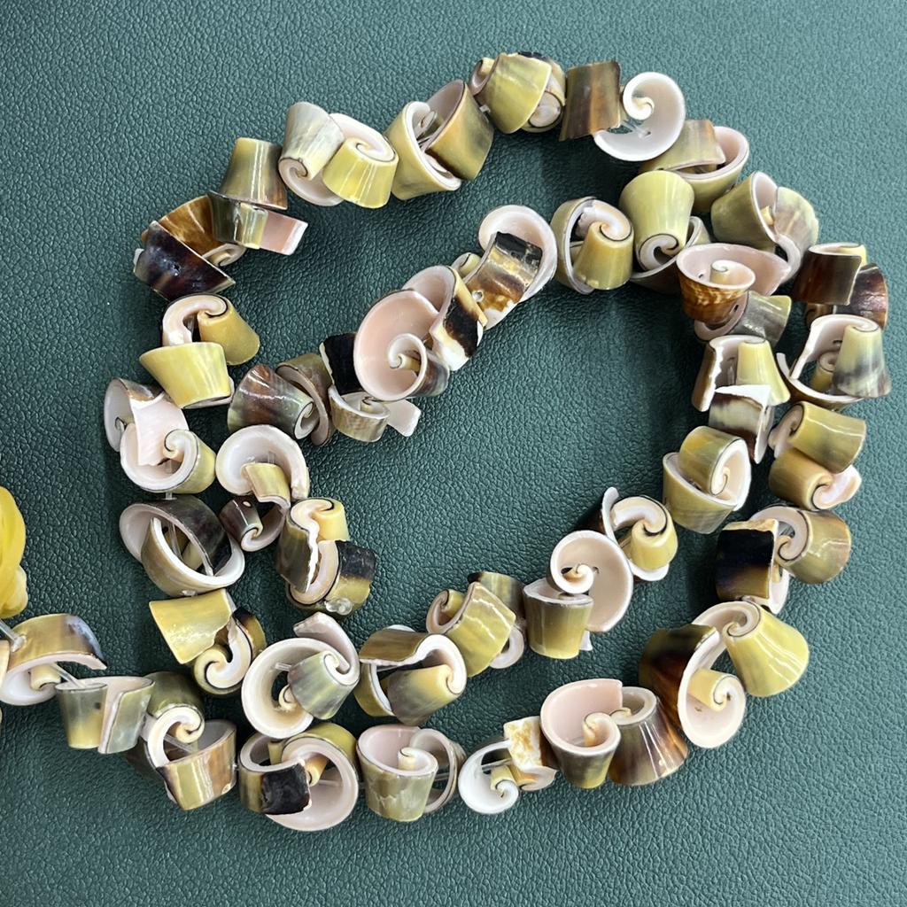 Bead Assortments Irregular Shell Beads Natural Freshwater Shell Isolation Beads 8-12mm For Jewelry Making DIY Necklace Bracelet Earrings Accessory