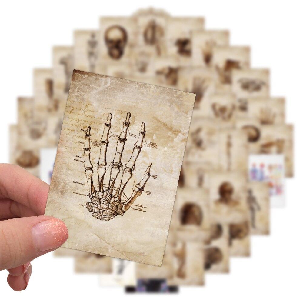 10/52 шт. креативные наклейки по анатомии и физиологии, наклейки с изображением человеческого скелета, граффити для DIY, багажа, ноутбука, велосипеда, наклейки