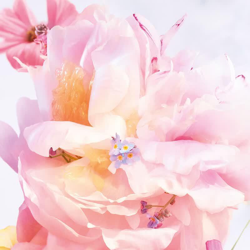 Dior Туалетная вода Miss Dior Blooming Bouquet