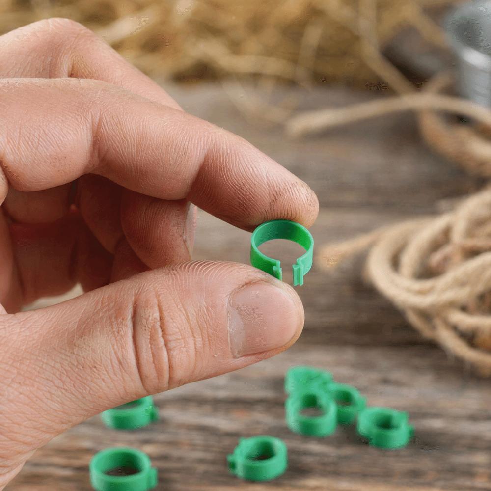 100Pcs 18mm Chicken Feet Ring Green Color Duck Feet Ring Breeding Foot Ring Duck Farming