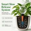 Self Watering Globes for Plants 6 Pack - 750ml Large Capacity Automatic Slow Release Plant Waterer Bulbs for Indoor Outdoor Potted Plants, Vacation P