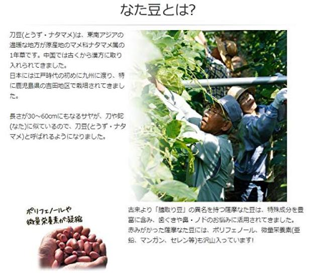 Satsuma Natto Bean Toothpaste 110g [Set of 3]