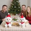 Рождественский костюм для кошки Шапка Санты с шарфом и для маленьких собак - Забавная нарядная шапка и шарф Санты для праздничных фото, переодеваний и вечеринок Регулируемый для кошек