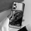 Black Labrador Dog For Realme 15 GT7 Pro GT6 10 11 12 13 14 Pro Plus C65 C67 C63 C61 C51 C53 C35 C75 C55 Case