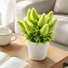 Green Leaves Artificial Flower Bonsai Multicolor Simulated Flower Bonsai  Office Hotel