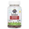 Children's Immunity Gummies + Vitamin C, D & Zinc, Cherry, Vegetable Gummies 60 Pieces