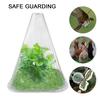 10 Pcs Plant Cloches Transparent Cloches Nursery PET Plastic Reusable Garden Cover Plant Windbreak