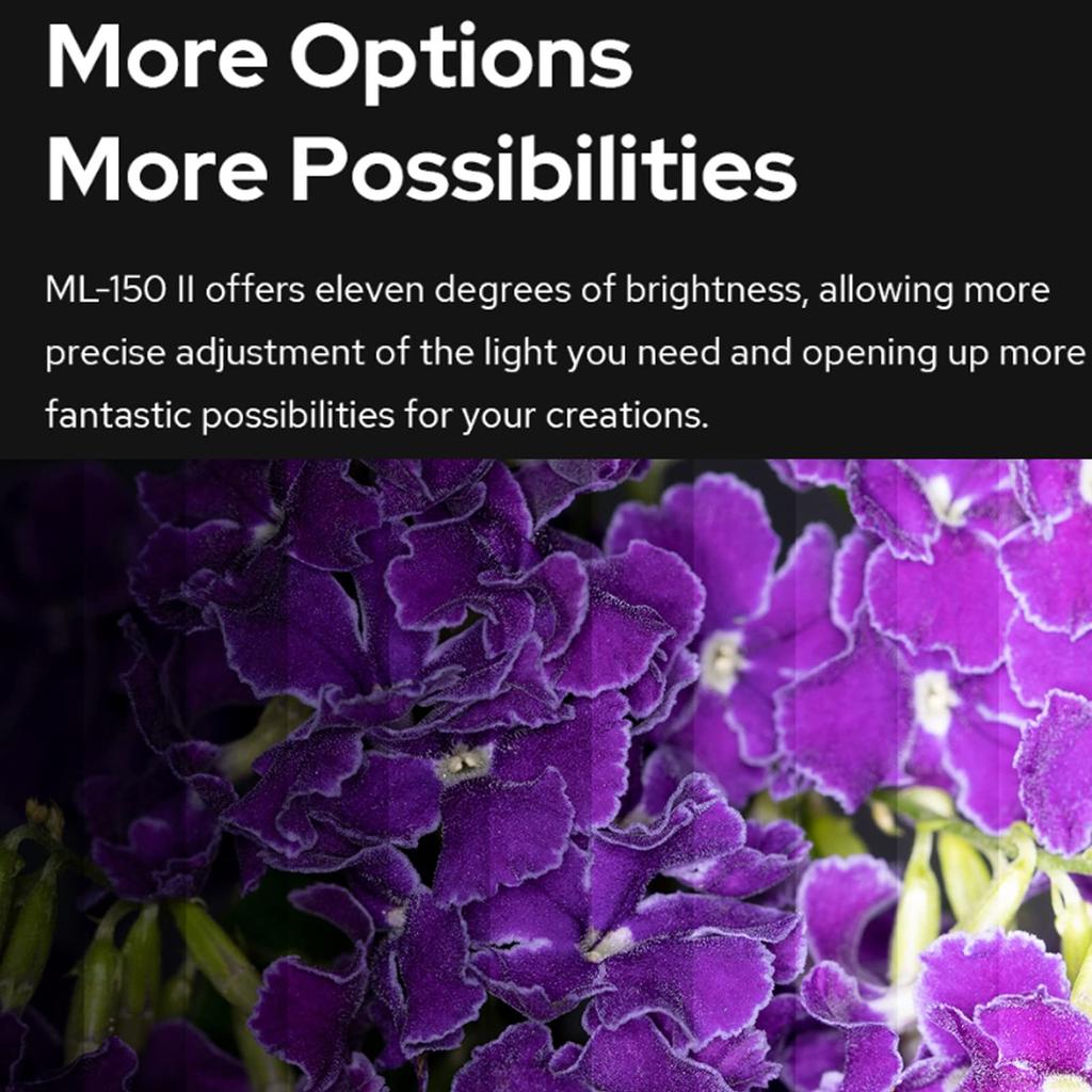 Кольцевая вспышка Godox Macro LED Speedlight GN12 Время перезарядки для цифровых зеркальных фотокамер Sony Canon Nikon Fuji Olympus Panasonic Видеосъемка животных и растений