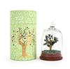 Seven Chakra Dome Wishing Tree, For Positive Energy - Green Aventurine